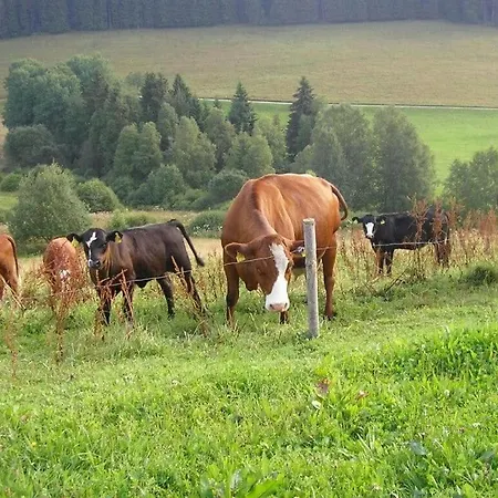 Rutscherhof Comfortable * Breitnau