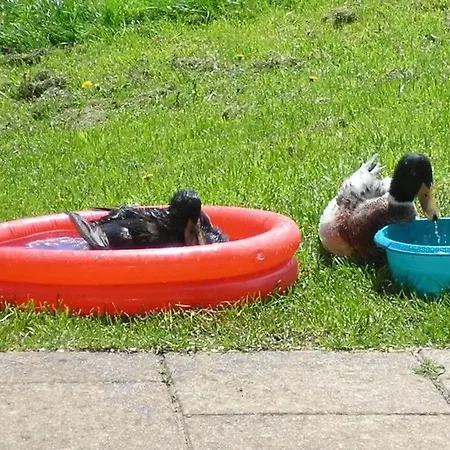 Rutscherhof Comfortable Сasa de vacaciones Breitnau